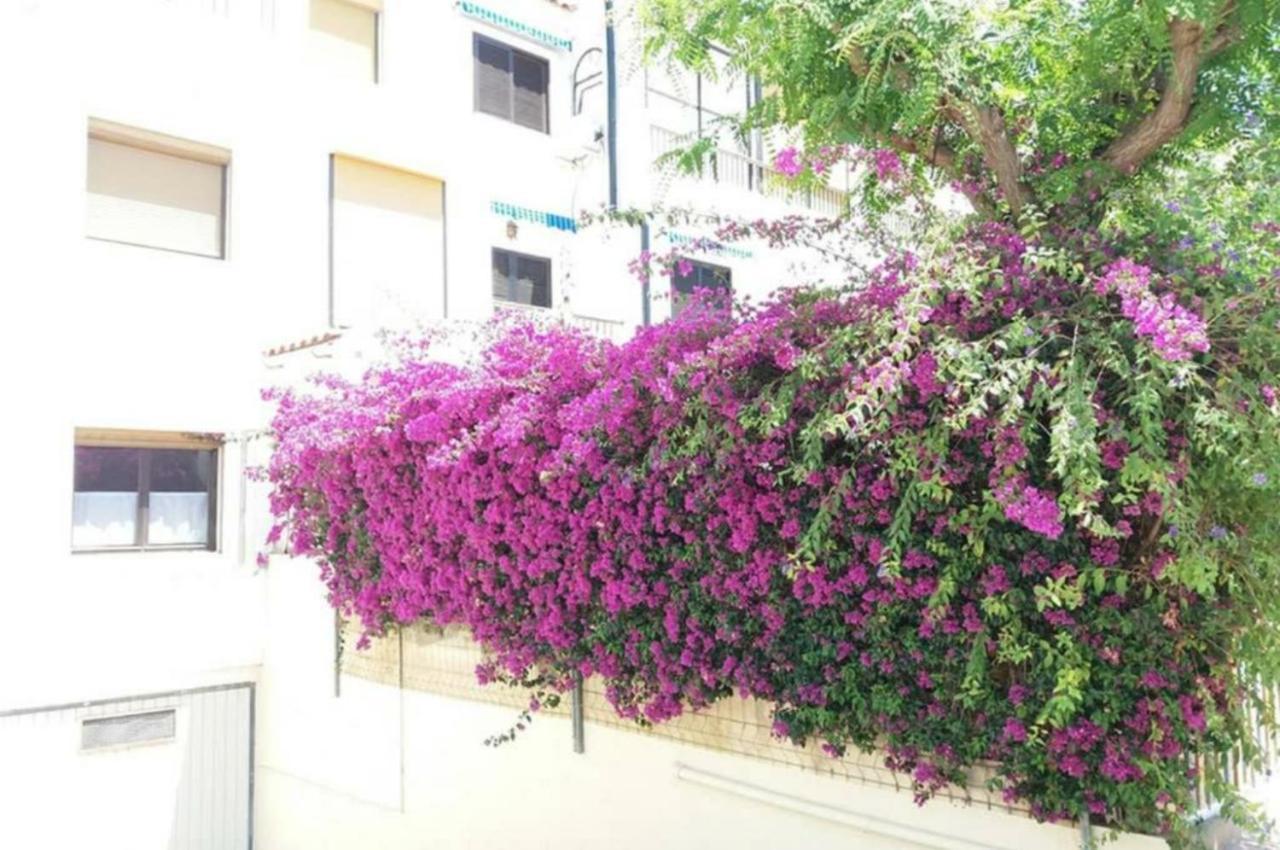 Bungalow Con Encanto, 100M2, A 800 M De La Playa El Campello Kültér fotó
